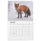 Fox-Kalender Kalender (Jan 2026)
