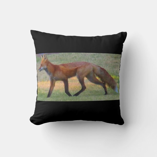 Fox Kissen (Vorderseite)
