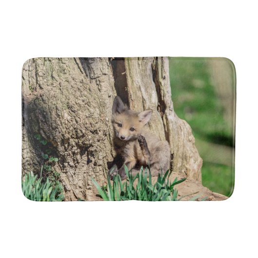 Fox Kit im Hudson Valley Badematte (Vorderseite)