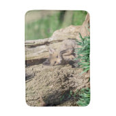Fox Kit im Hudson Valley Badematte (Vorderseite Vertikal)