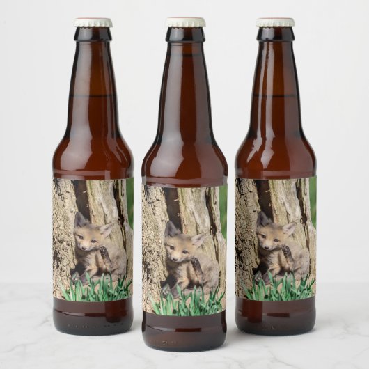 Fox Kit im Hudson Valley Bierflaschenetikett (Flaschen)