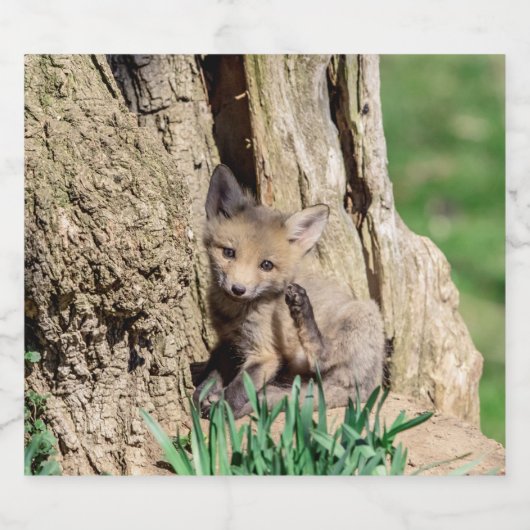 Fox Kit im Hudson Valley Bierflaschenetikett (Einzelnes Label)