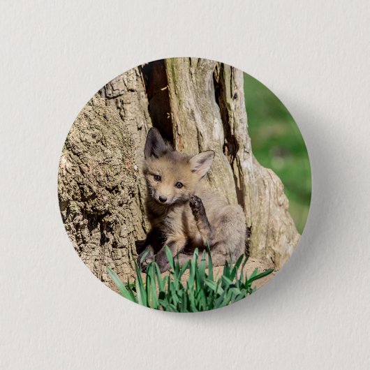 Fox Kit im Hudson Valley Button (Vorderseite)