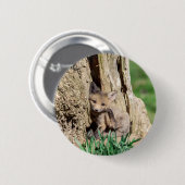 Fox Kit im Hudson Valley Button (Vorne & Hinten)