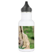 Fox Kit im Hudson Valley Edelstahlflasche (Rechts)