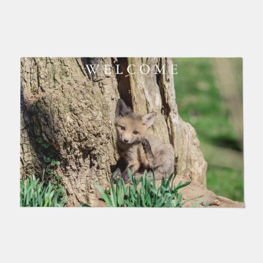 Fox Kit im Hudson Valley Fußmatte (Vorderseite)