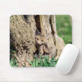 Fox Kit im Hudson Valley Mousepad (Mit Mouse)