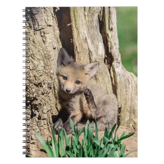 Fox Kit im Hudson Valley Notizblock (Vorderseite)