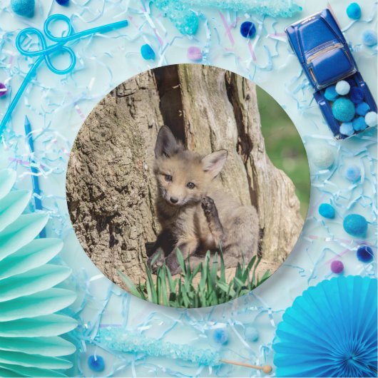 Fox Kit im Hudson Valley Pappteller (Party)