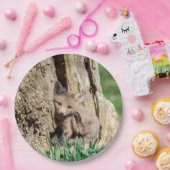 Fox Kit im Hudson Valley Pappteller (Party)