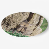 Fox Kit im Hudson Valley Pappteller (Schrägansicht)