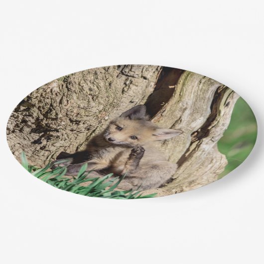 Fox Kit im Hudson Valley Pappteller (Schrägansicht)