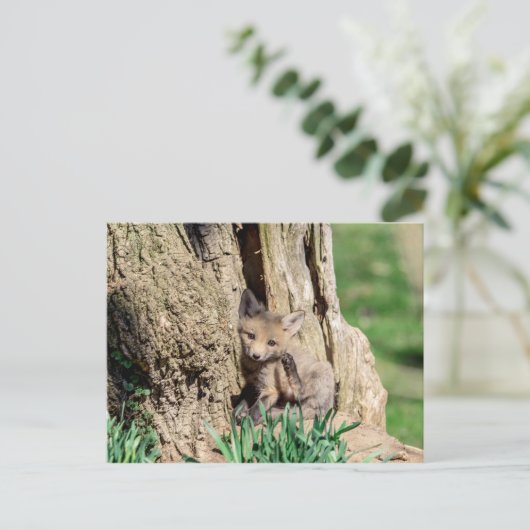 Fox Kit im Hudson Valley Postkarte (Stehend Vorderseite)