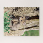 Fox Kit im Hudson Valley Puzzle (Horizontal)