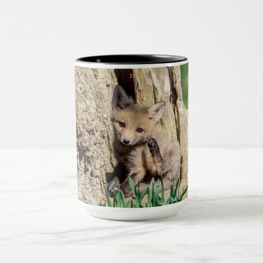 Fox Kit im Hudson Valley Tasse (Zentrum)