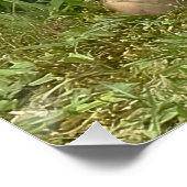 Fox Kit Pals Poster (Ecke)