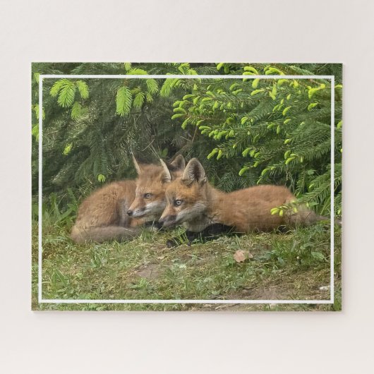 Fox Kit Pals Puzzle (Horizontal)