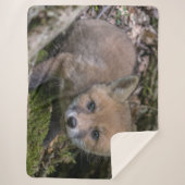 FOX KIT SHERPADECKE (Vorderseite)
