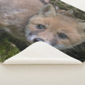 FOX KIT SHERPADECKE (3/4)