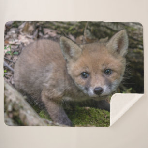FOX KIT SHERPADECKE