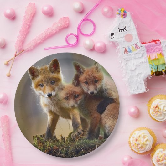 Fox Kits Foto Pappteller (Party)