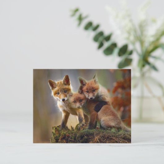 Fox Kits Foto Postkarte (Stehend Vorderseite)