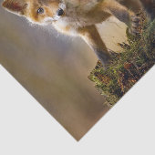 Fox Kits Foto Seidenpapier (Ausschnitt)