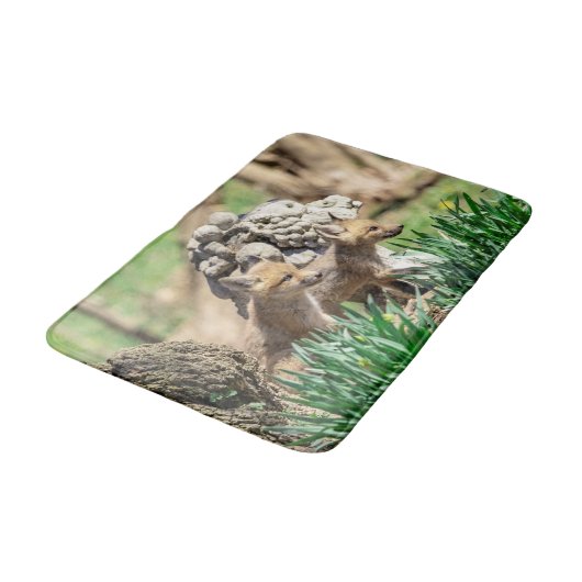 Fox Kits im Hudson Valley Badematte (Schrägansicht)