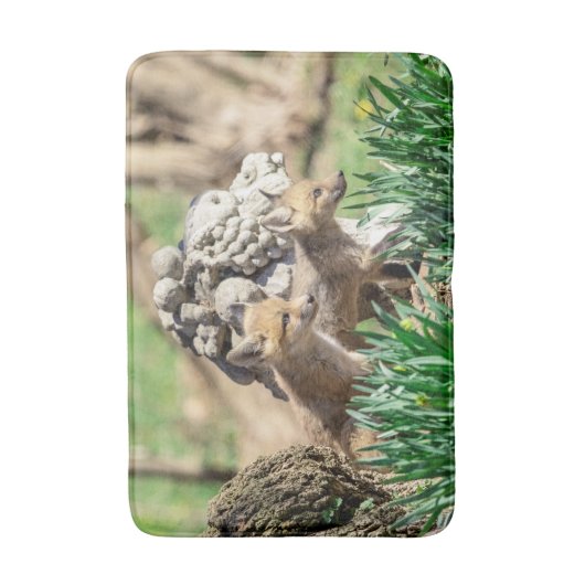 Fox Kits im Hudson Valley Badematte (Vorderseite Vertikal)