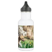 Fox Kits im Hudson Valley Edelstahlflasche (Rechts)