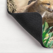 Fox Kits im Hudson Valley Mousepad (Ecke)