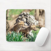 Fox Kits im Hudson Valley Mousepad (Mit Mouse)
