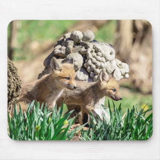 Fox Kits im Hudson Valley Mousepad (Vorne)