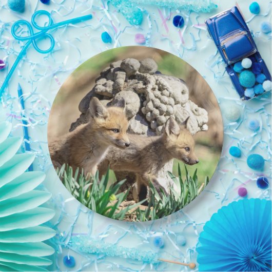 Fox Kits im Hudson Valley Pappteller (Party)