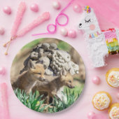 Fox Kits im Hudson Valley Pappteller (Party)