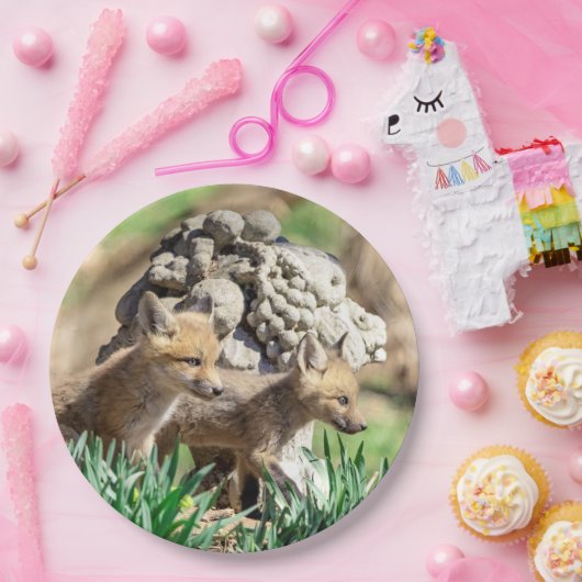 Fox Kits im Hudson Valley Pappteller (Party)