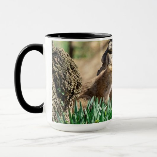 Fox Kits im Hudson Valley Tasse (Links)