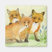 Fox Kits Magnet (Vorne)