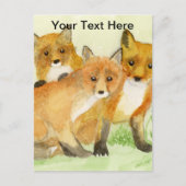 Fox Kits Postkarte (Vorderseite)