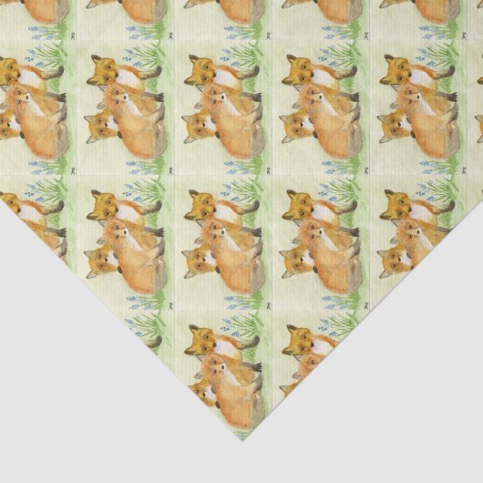 Fox Kits Seidenpapier (Ausschnitt)