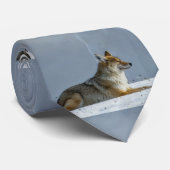 Fox Krawatte (Gerollt)