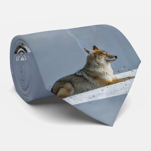 Fox Krawatte (Gerollt)