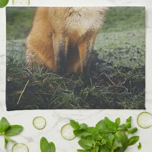 fox Küchentuch, foxy Teetuch, Fuchsjungs-Zuhausede Geschirrtuch (Gefaltet)