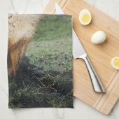 fox Küchentuch, foxy Teetuch, Fuchsjungs-Zuhausede Geschirrtuch (Viertel Falte)