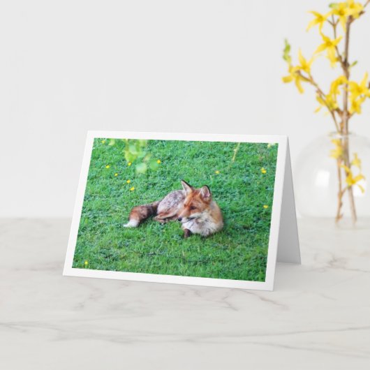 Fox Lay auf Gras Karte (Gelbe Blume)