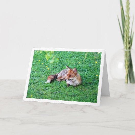 Fox Lay auf Gras Karte (Vorderseite)