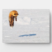 Fox Leap | Yukon, Kanada Fotoplatte (Vorderseite)