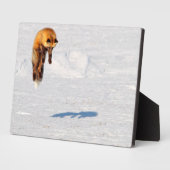 Fox Leap | Yukon, Kanada Fotoplatte (Seite)