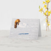 Fox Leap | Yukon, Kanada Karte (Gelbe Blume)