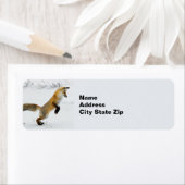 Fox Leaping Snow Foto (Insitu)